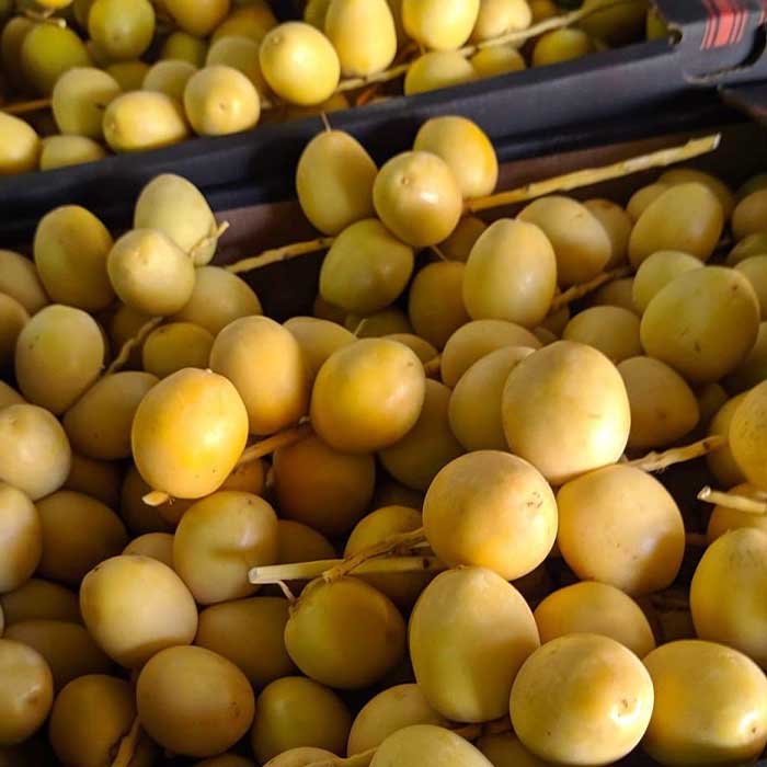 Aton Green Egypt Fresh Fruits & Vegetables